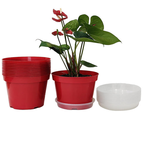 RooTrimmer 8-inch red plastic flower pots with saucers for indoor planting and decor