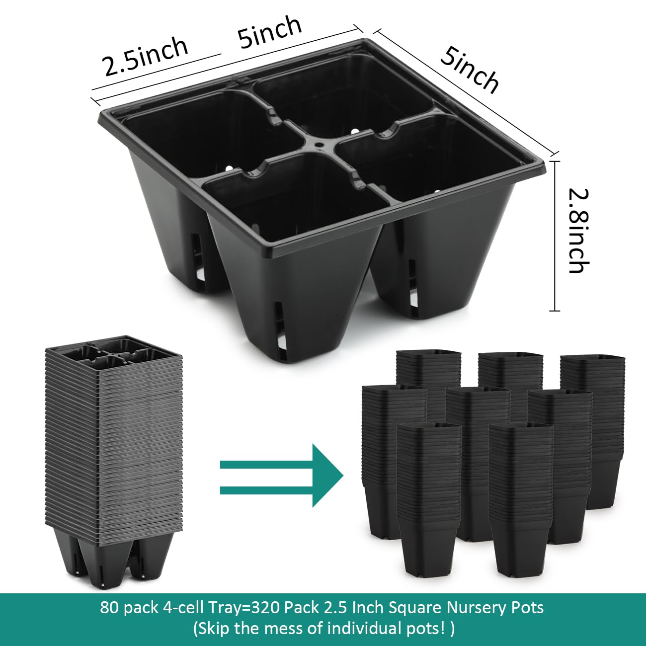 RooTrimmer tray with air pruning slots promoting healthy root growth