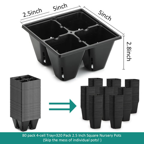 RooTrimmer tray with air pruning slots promoting healthy root growth