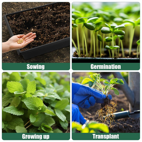 RooTrimmer beginner-friendly setup enables easy seed starting at home.