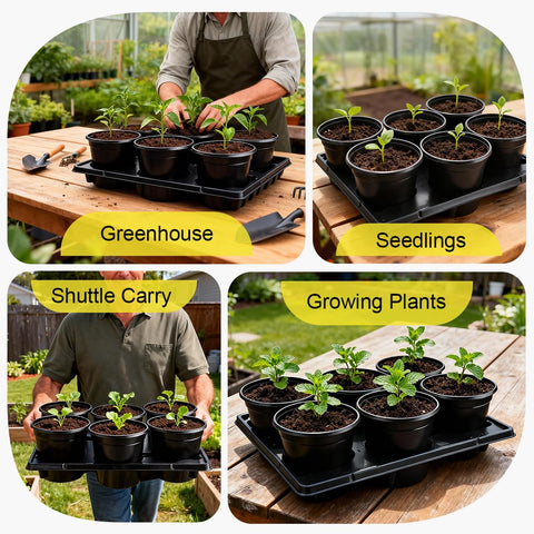 RooTrimmer system in black suits greenhouse propagation.