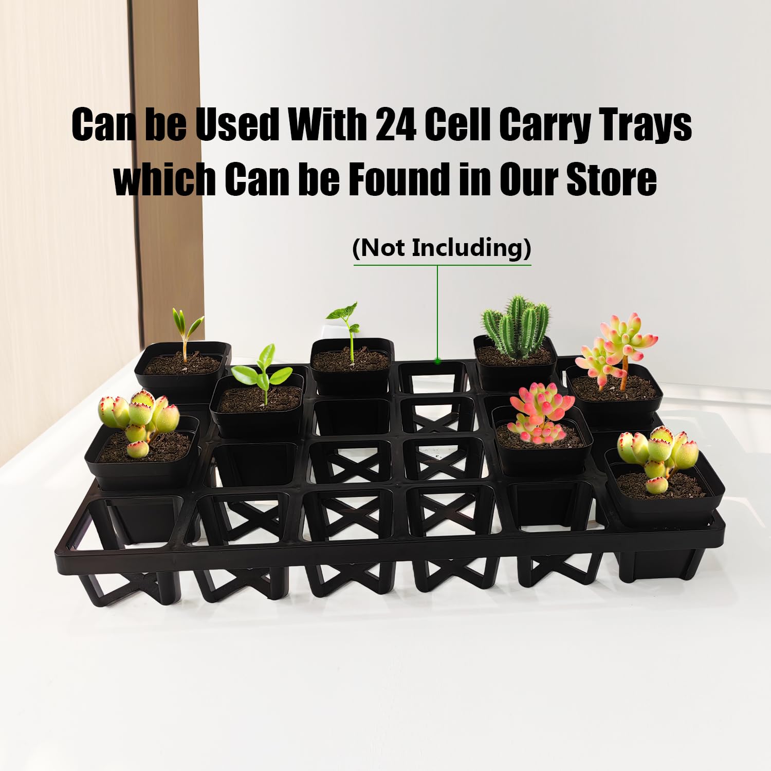 RooTrimmer durable black plastic nursery pot suited for repeated use.