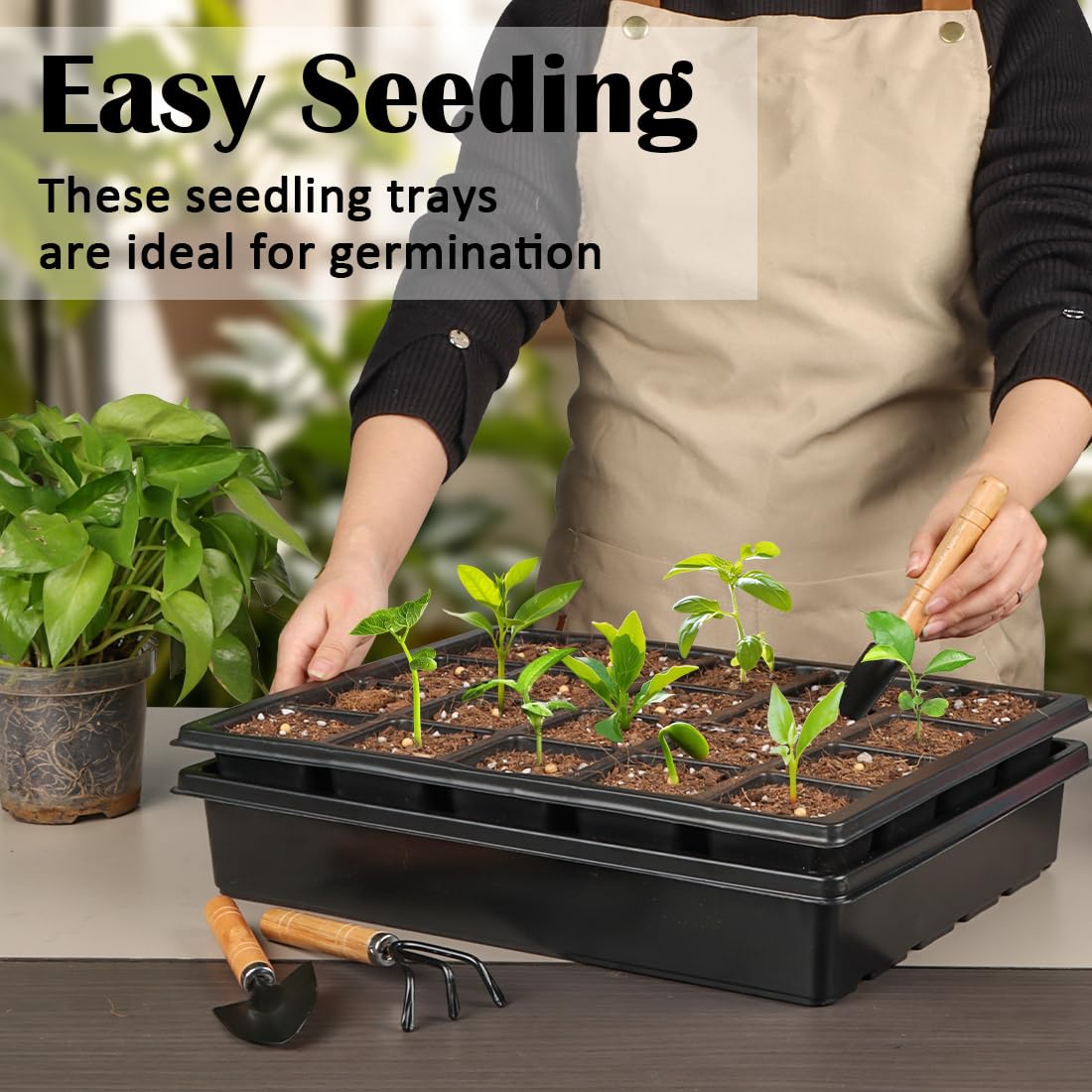 RooTrimmer drainage holes promote airflow and healthier roots