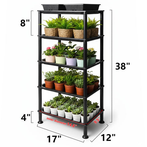 RooTrimmer bottom watering reservoir display promotes steady moisture for healthier sprouts.
