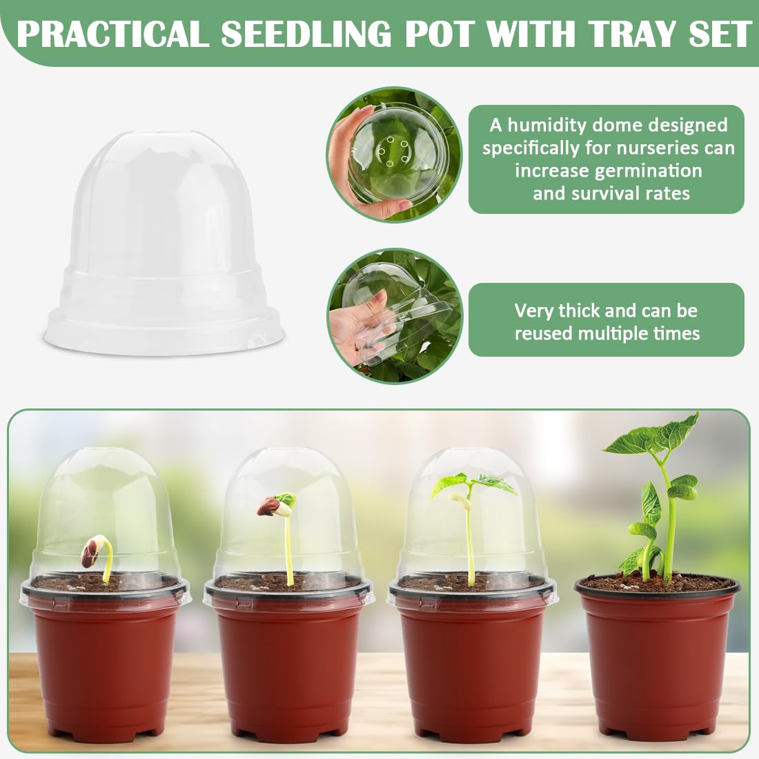 RooTrimmer BPA-free material visual shows durable seed starter trays for reuse