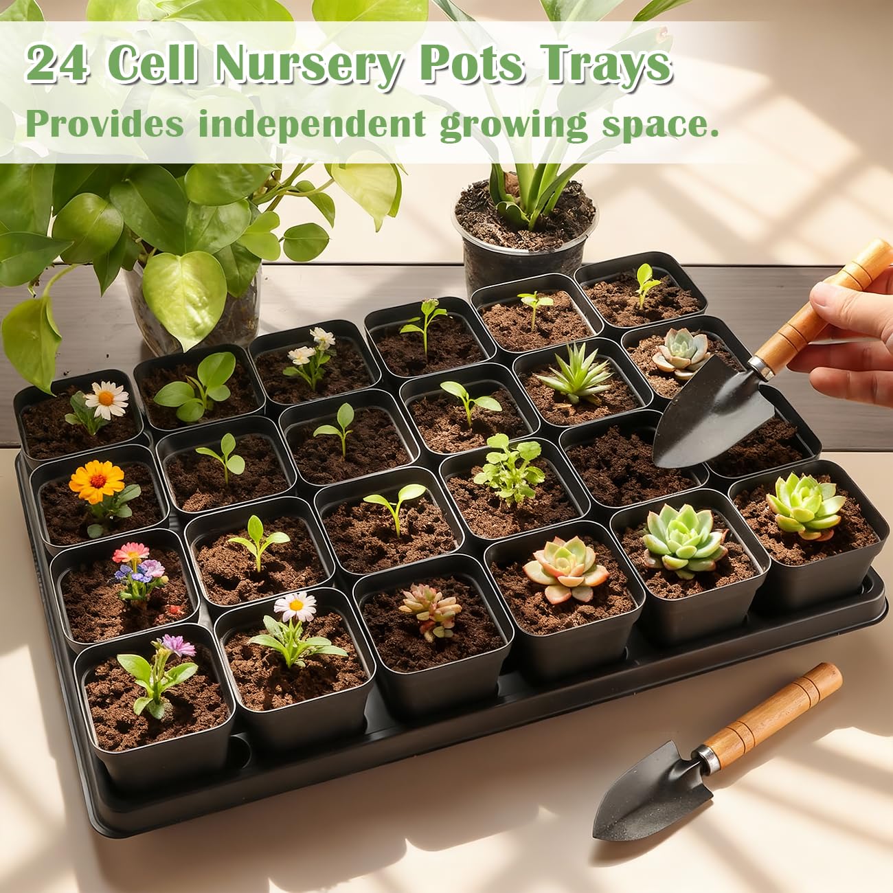 RooTrimmer BPA-free plastic seedling trays ensure safe plant start