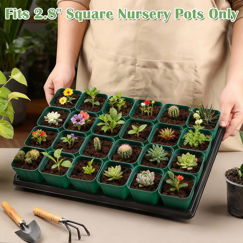 RooTrimmer BPA-free plastic pots emphasizing safe, reusable use