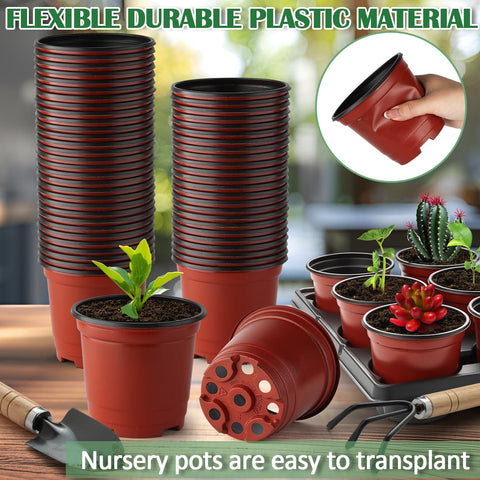 RooTrimmer BPA-free material ensures durable, reusable seed-starting trays
