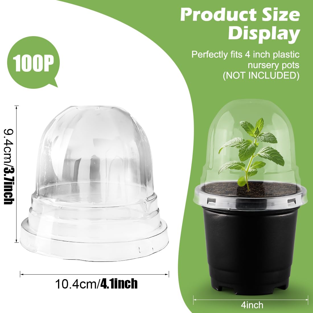 RooTrimmer propagation dome ideal for cacti and tropical plant care.
