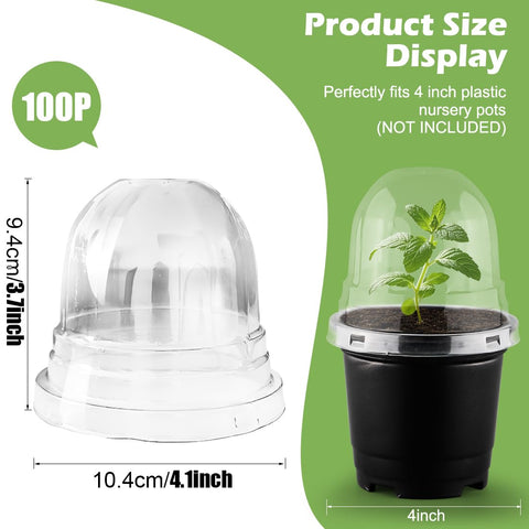 RooTrimmer propagation dome ideal for cacti and tropical plant care.