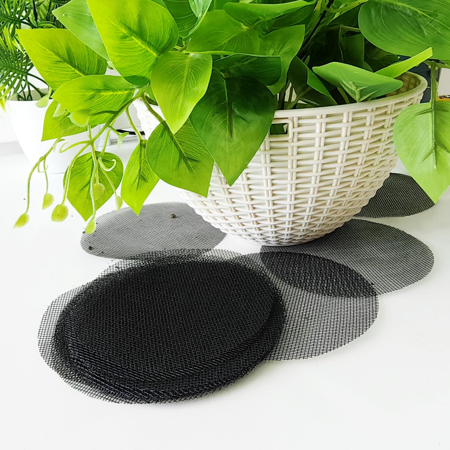 RooTrimmer keeps pots and garden spaces tidy and organized