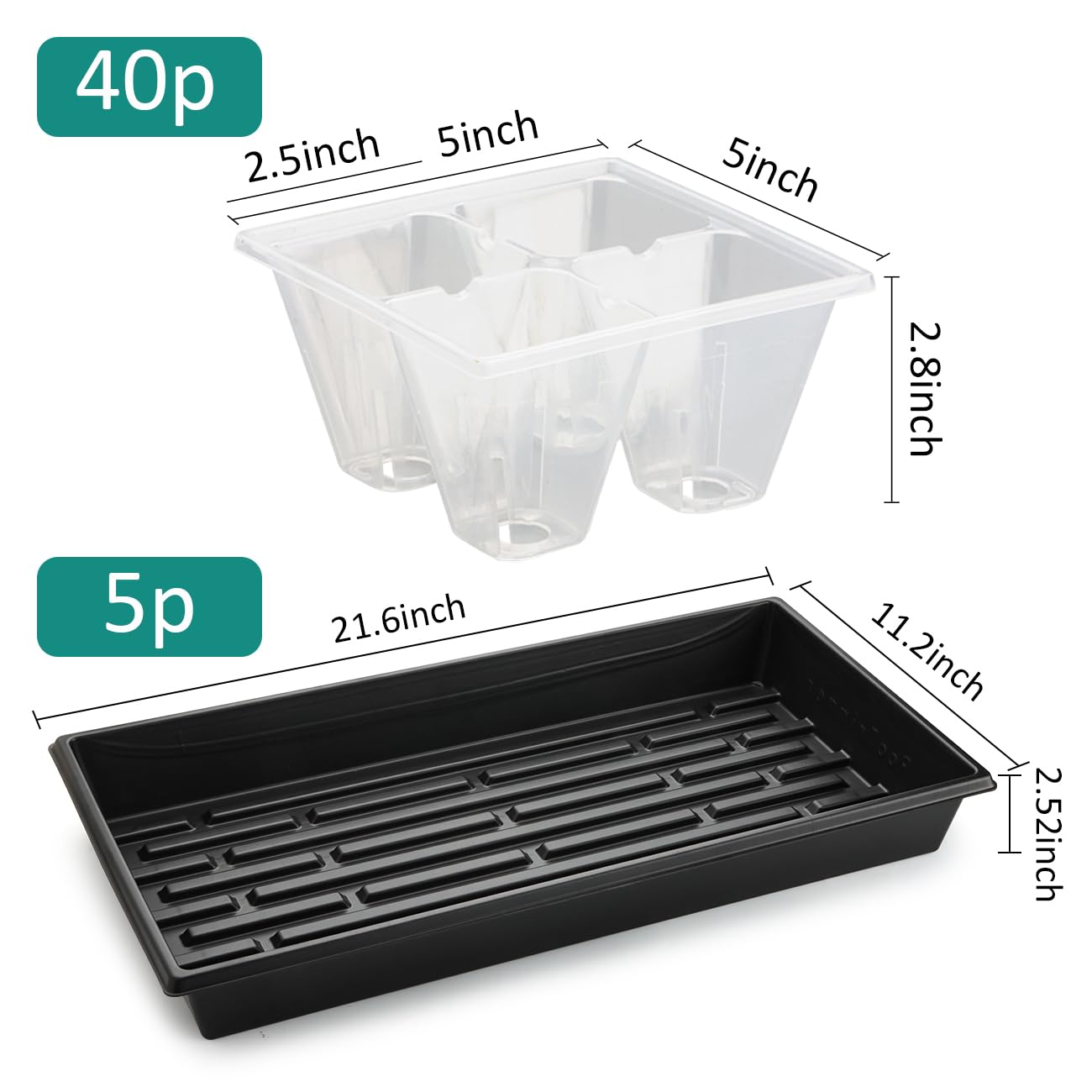 RooTrimmer clear 4-cell seed starter trays showing root growth clearly.
