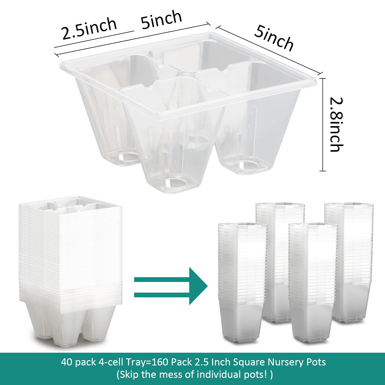 RooTrimmer clear 4-cell tray close-up for germination visibility.