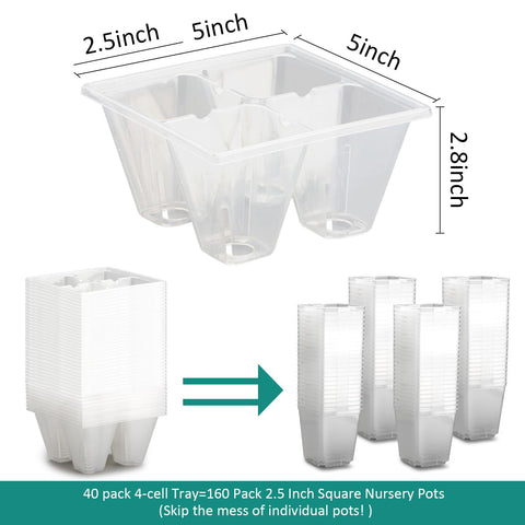 RooTrimmer clear 4-cell tray close-up for germination visibility.