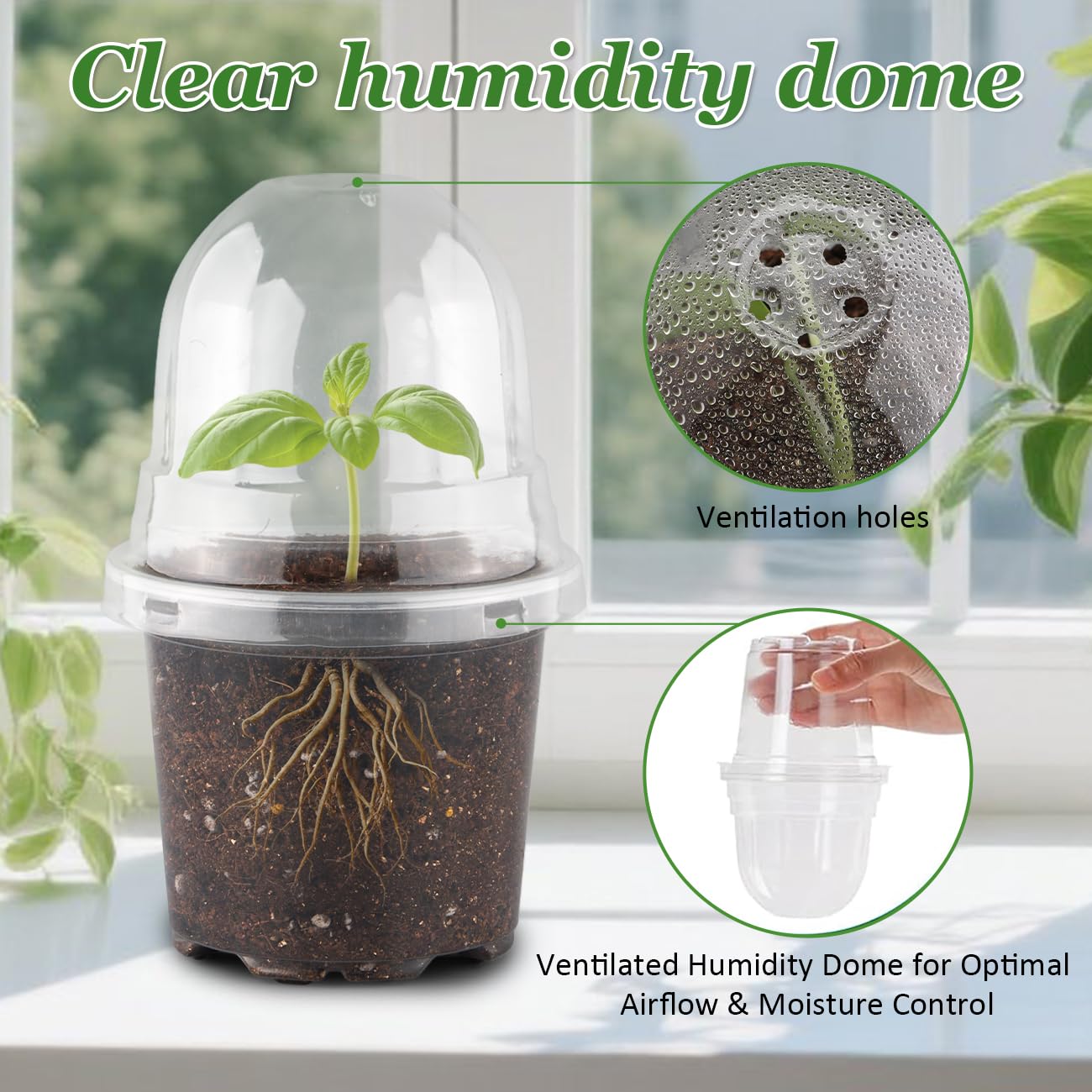 RooTrimmer 4-inch pots with drainage holes promote healthy root airflow and prevent waterlogging.