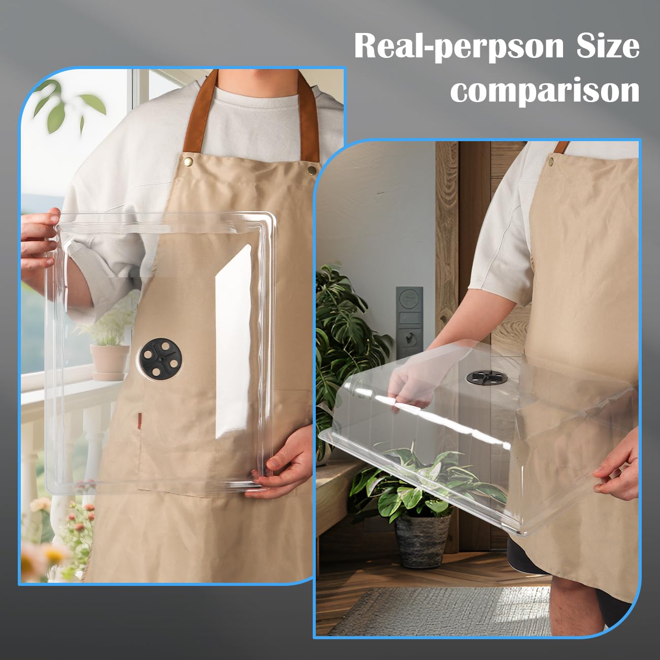RooTrimmer clear dome in action supports moisture checks and germination monitoring.