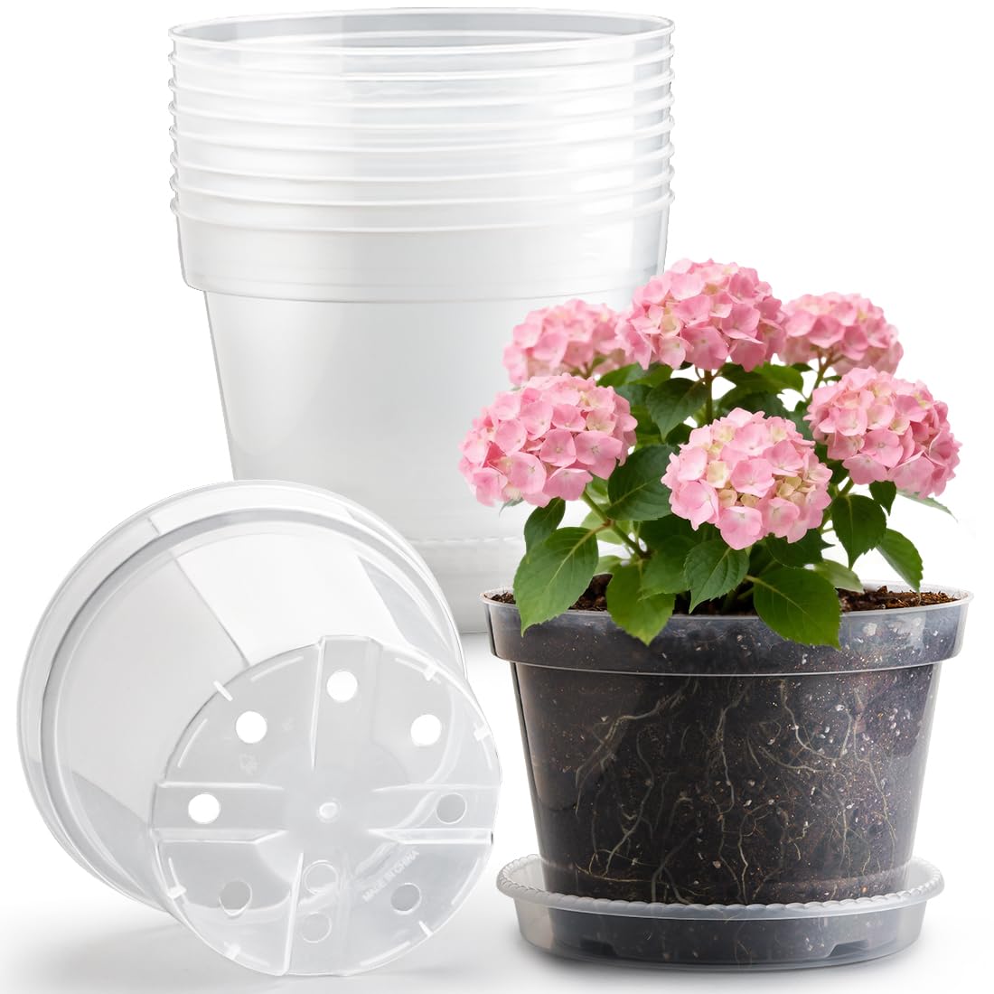 RooTrimmer clear nursery pot 10-inch shows roots clearly for easy transplanting and monitoring