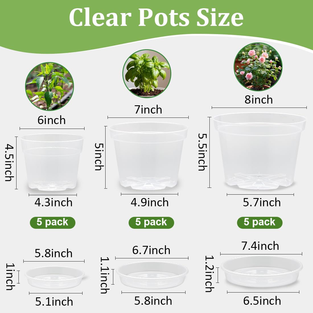RooTrimmer clear 7-inch nursery pot with drainage supports growth