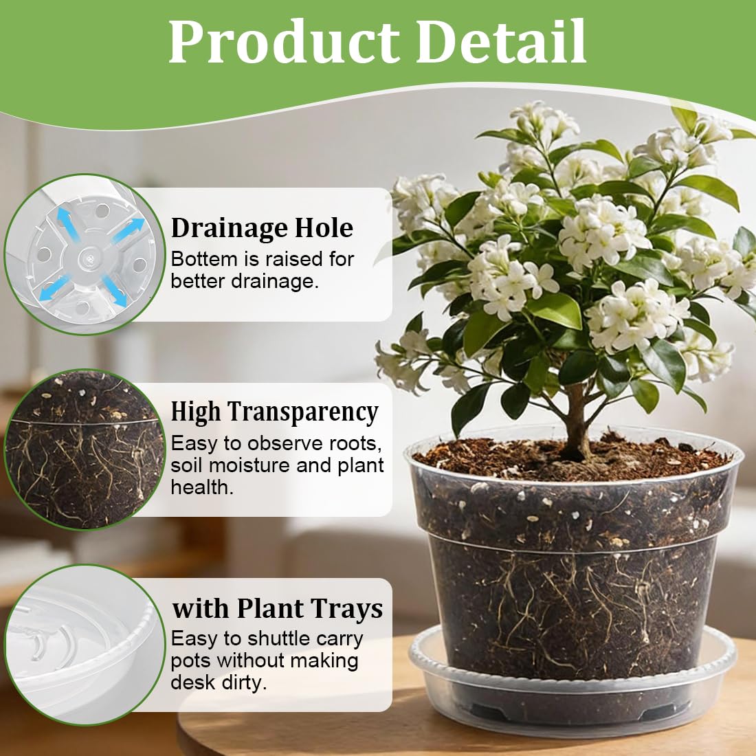 RooTrimmer clear 8-inch nursery pot with drainage and tray