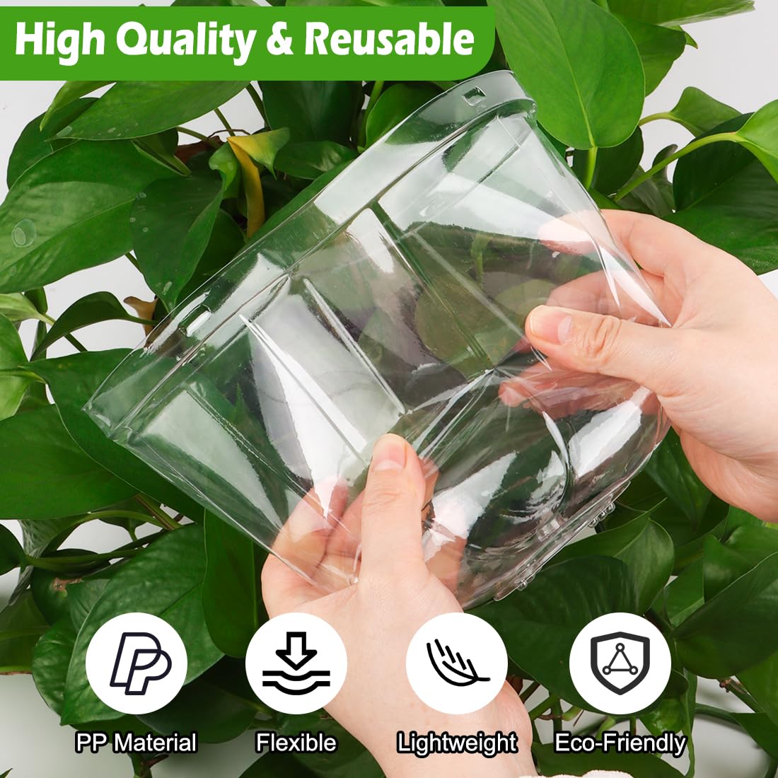 RooTrimmer clear plastic dome lets you monitor growth without removing lid