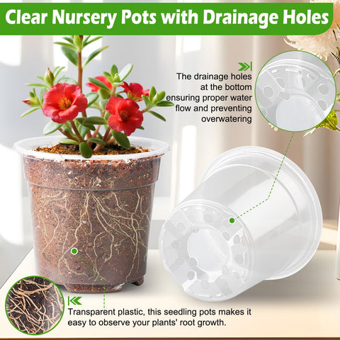 RooTrimmer clear pot showing bottom drainage holes for moisture control.