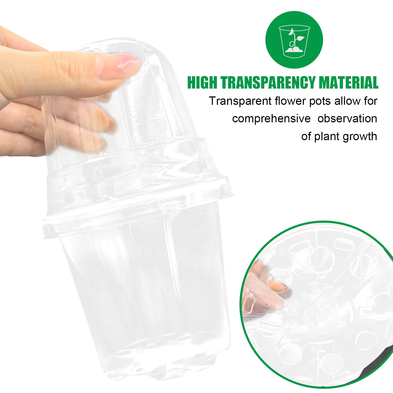 RooTrimmer clear pot highlighting drainage holes for healthy watering.