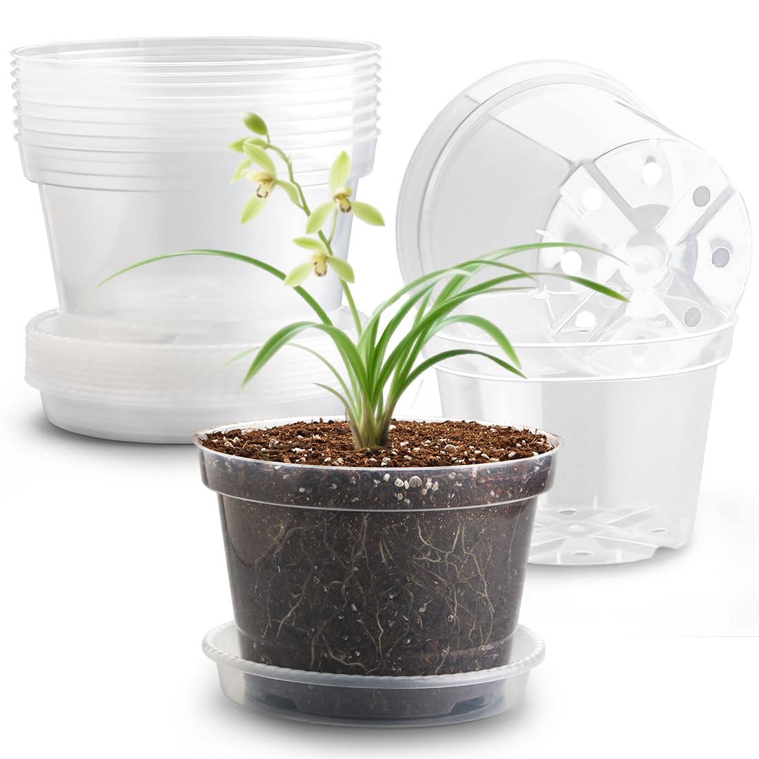RooTrimmer clear 8-inch pot, top view with drainage holes for root monitoring.