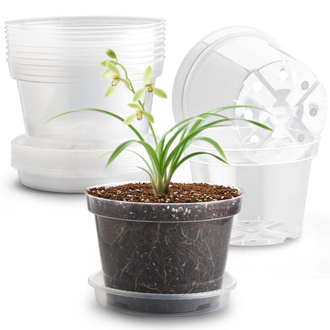 RooTrimmer clear 8-inch pot, top view with drainage holes for root monitoring.