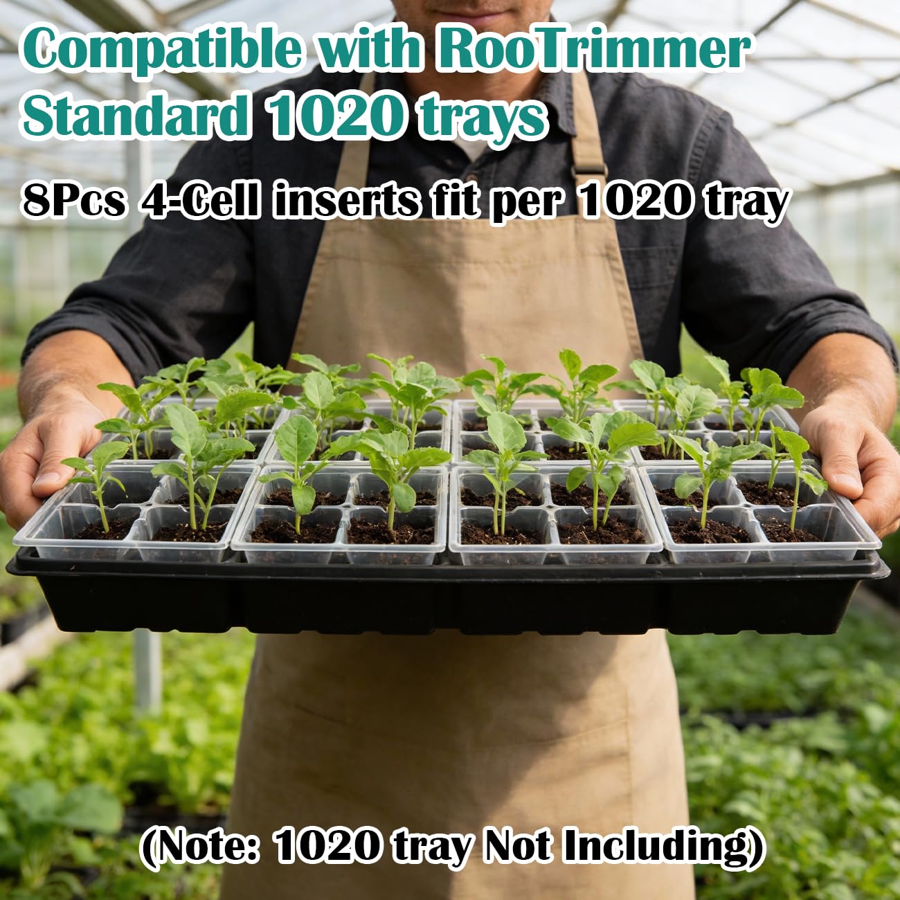 RooTrimmer clear seed tray lets you monitor germination at a glance.