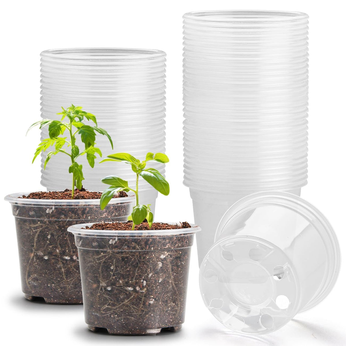 RooTrimmer clear seedling pot 3-2in side view for easy germination monitoring.