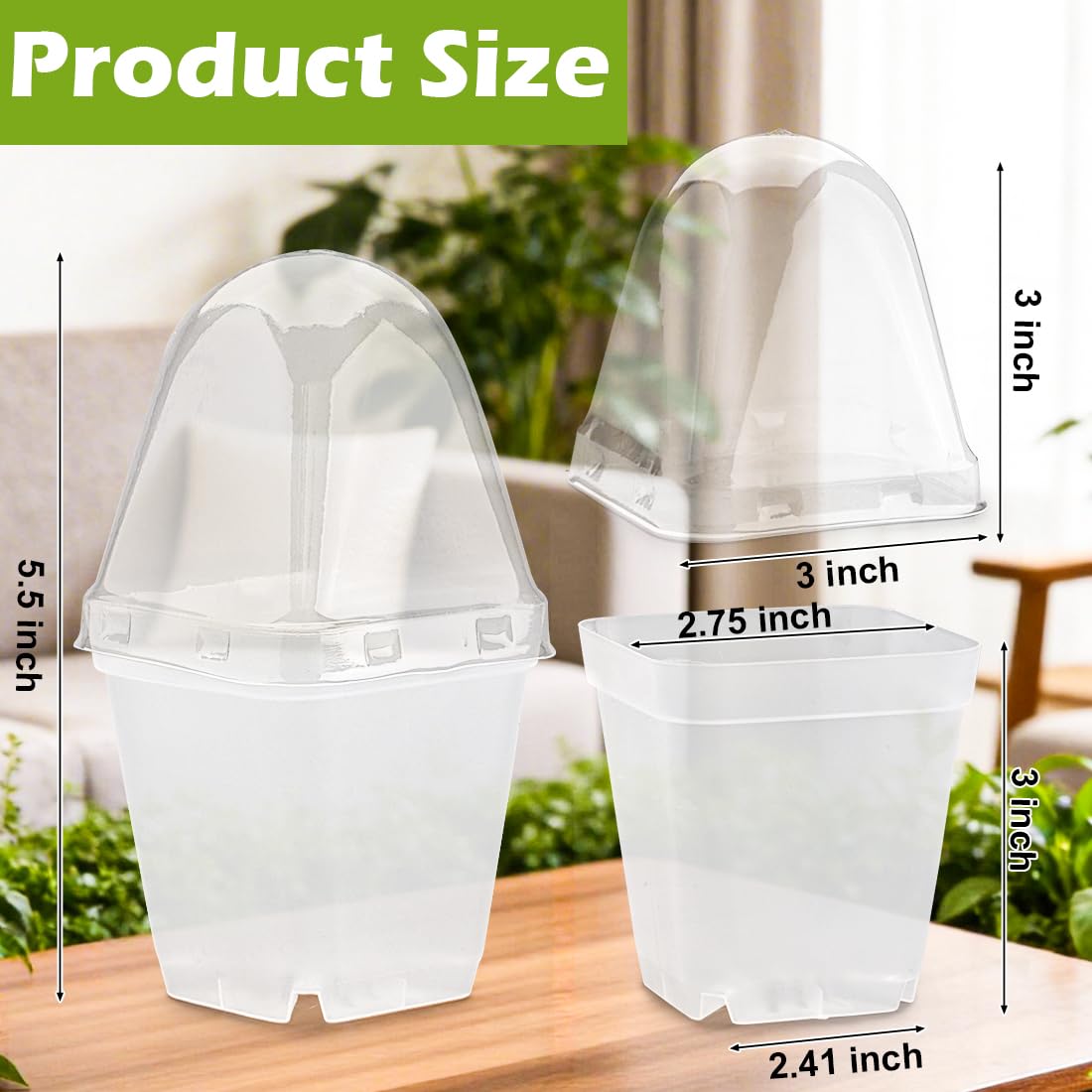 RooTrimmer clear seedling pots with drainage holes preventing overwatering and root rot