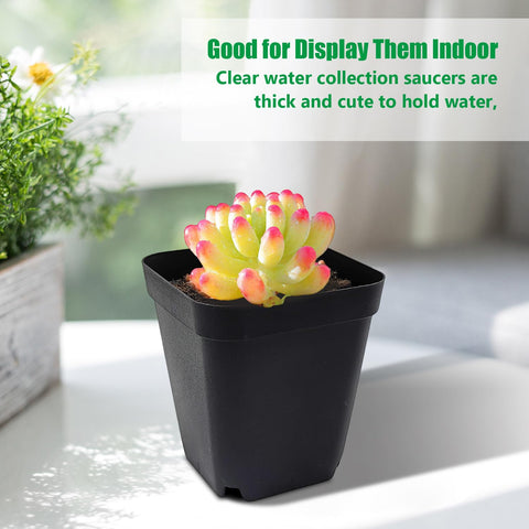 RooTrimmer compact 3in square pot ideal for herbs and microgreens.