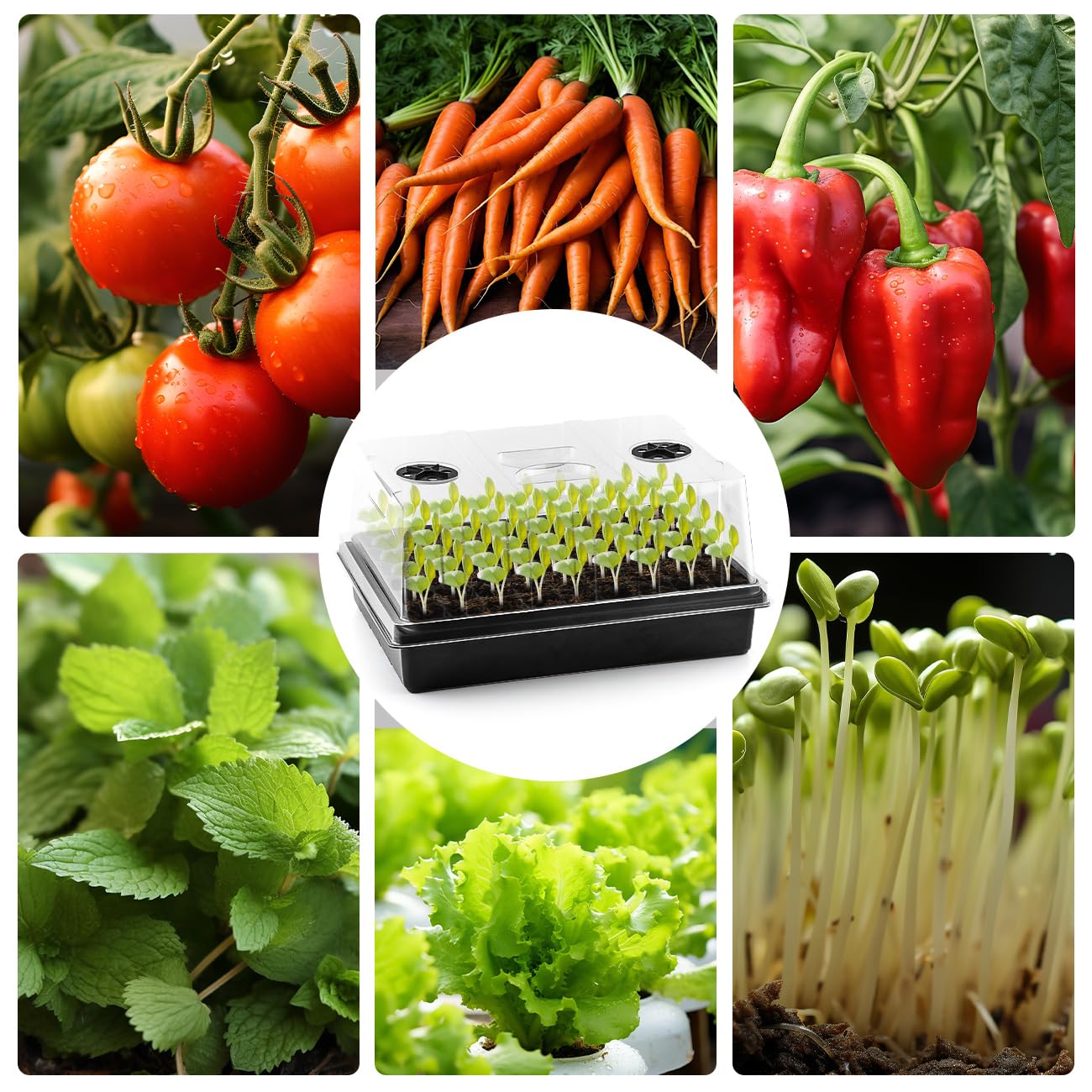 RooTrimmer complete starter kit for seeds and seedlings