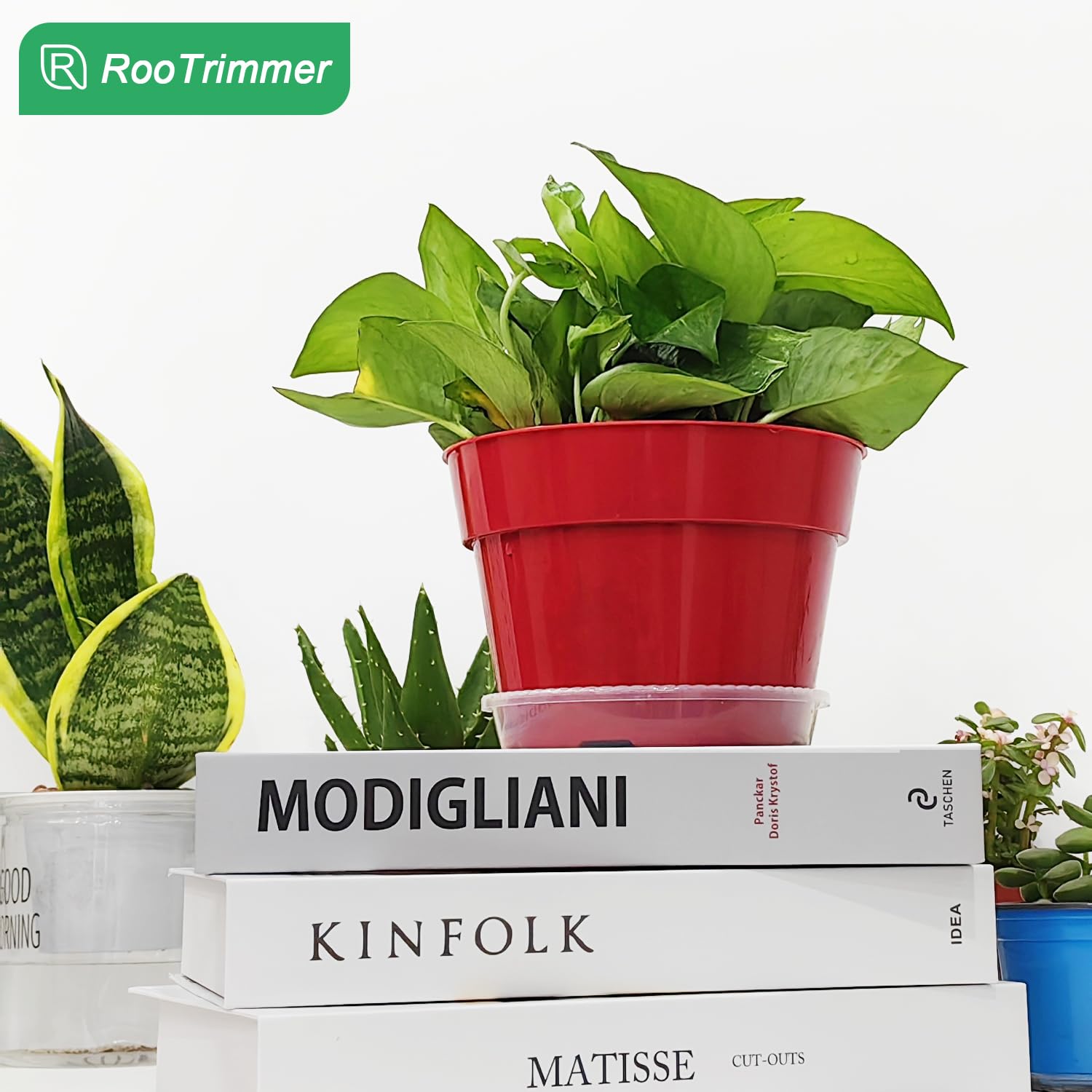 RooTrimmer decorative pots with trays help keep floors clean