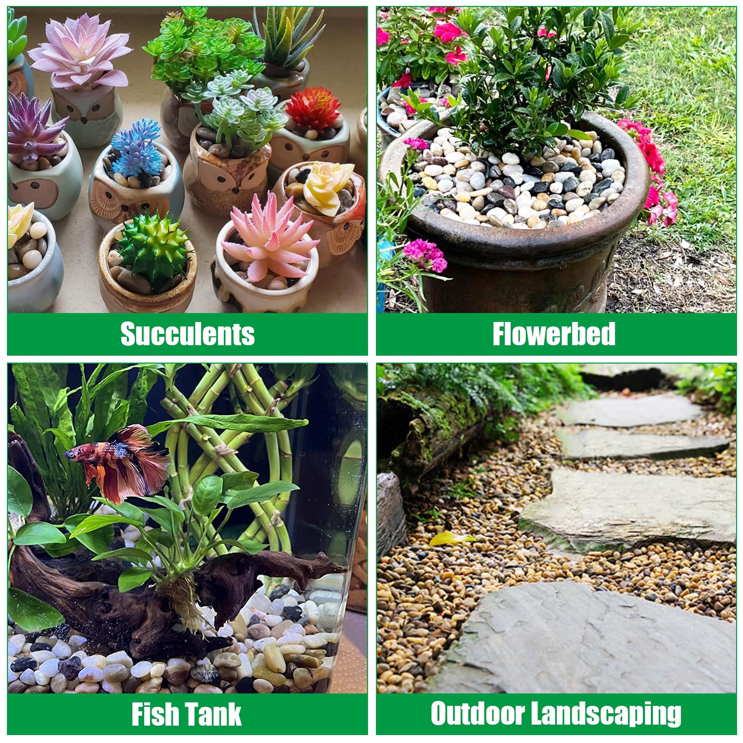 RooTrimmer decorative river rocks brighten indoor gardens and landscapes