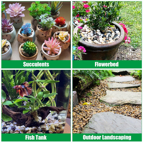 RooTrimmer decorative river rocks brighten indoor gardens and landscapes
