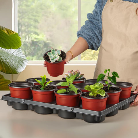 RooTrimmer drainage-hole corners prevent overwatering without compromising seedlings