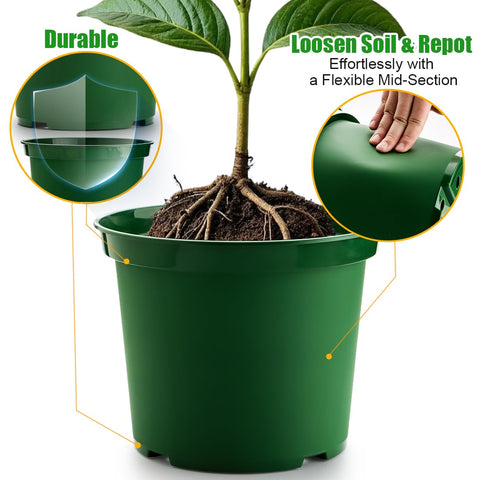 RooTrimmer pot with drainage holes supports proper moisture management.