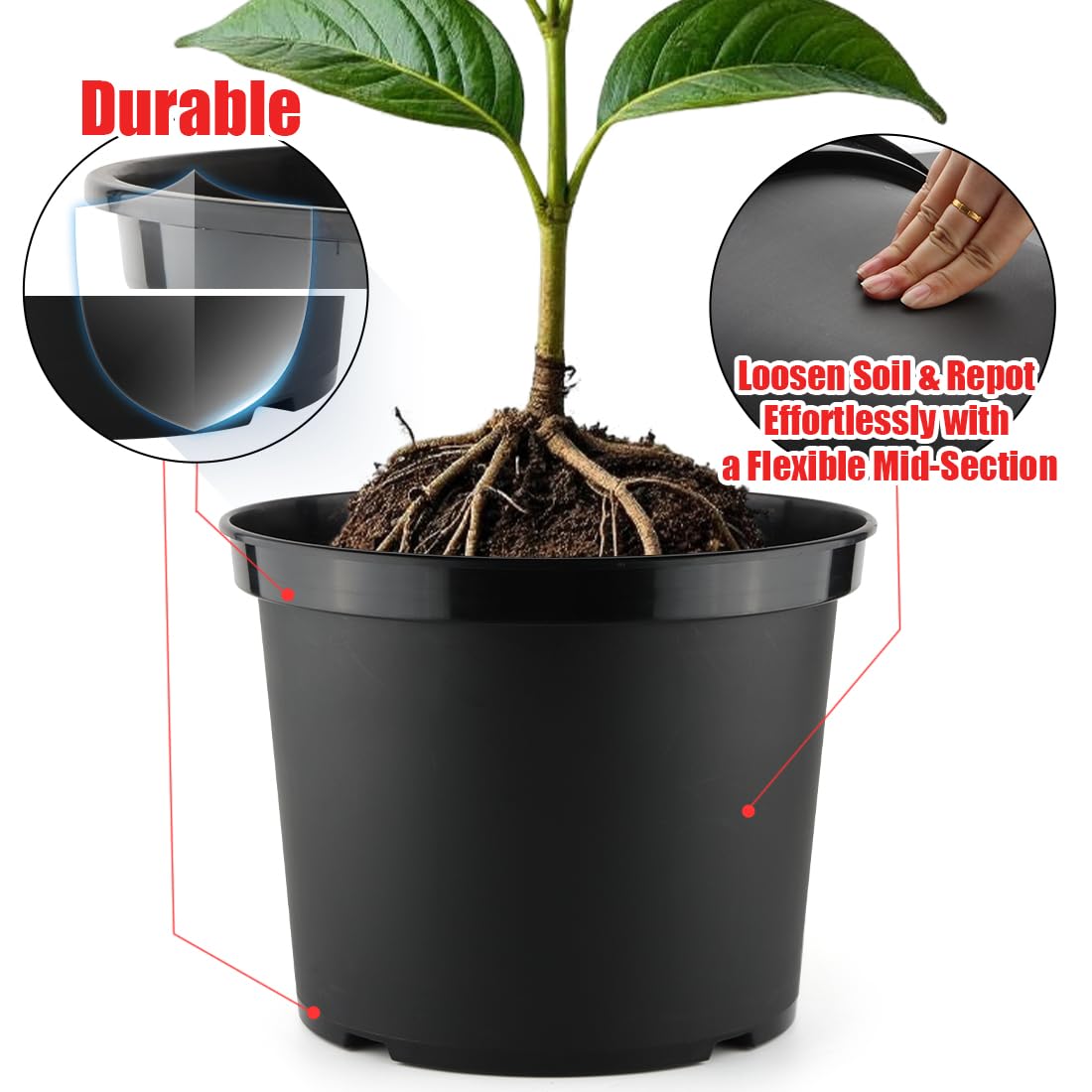 RooTrimmer pot with drainage holes supports healthy moisture balance for vibrant growth.