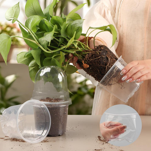 RooTrimmer durable PE plastic pots resist deformation during reuse.