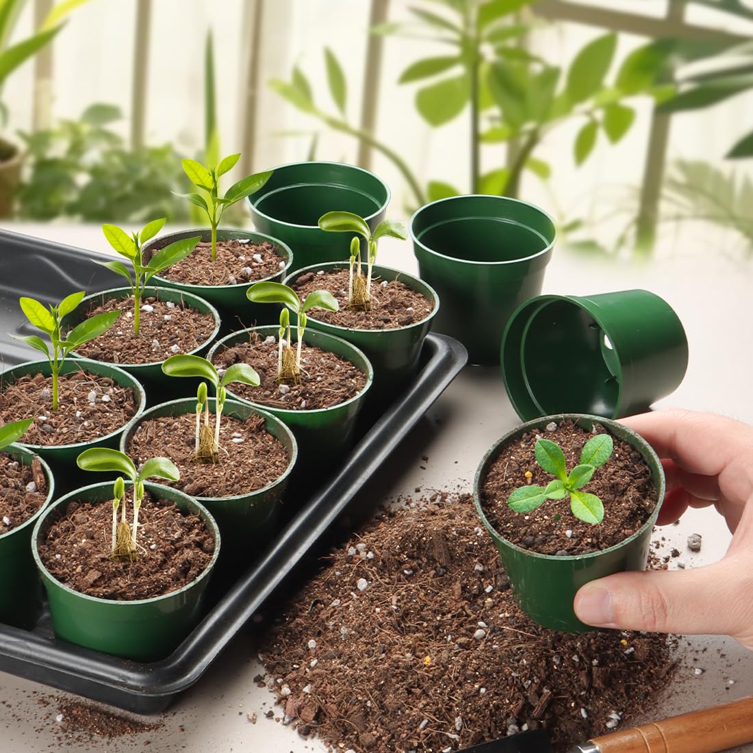 RooTrimmer durable plastic pots for indoor and outdoor plant projects.