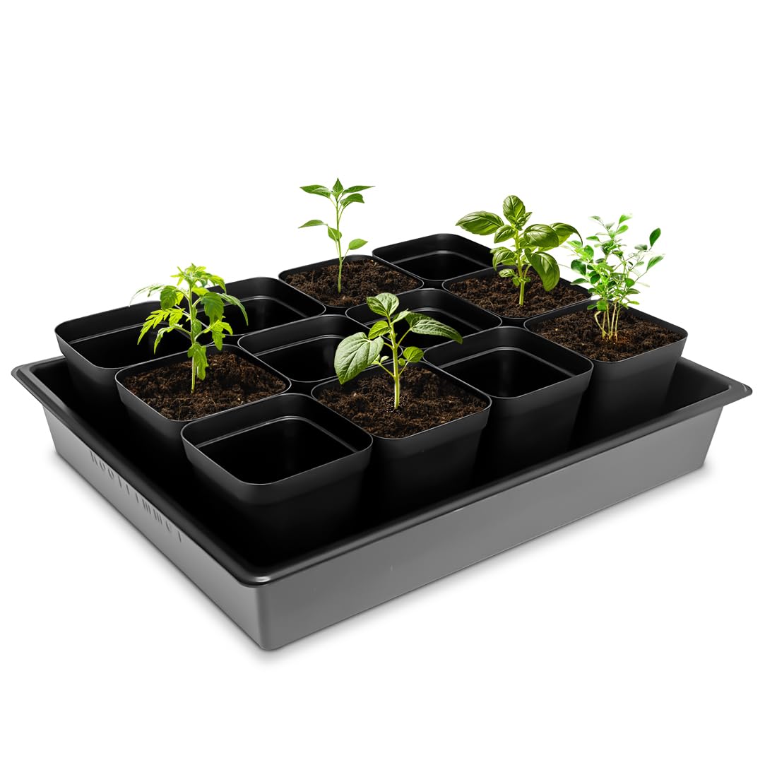 Durable PS polystyrene RooTrimmer trays are lightweight and reusable.