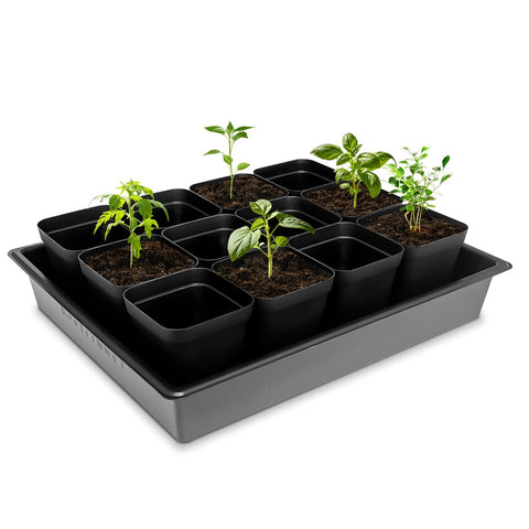 Durable PS polystyrene RooTrimmer trays are lightweight and reusable.