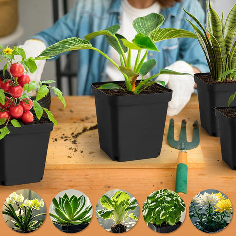 RooTrimmer durable reusable plastic pots for repeated use