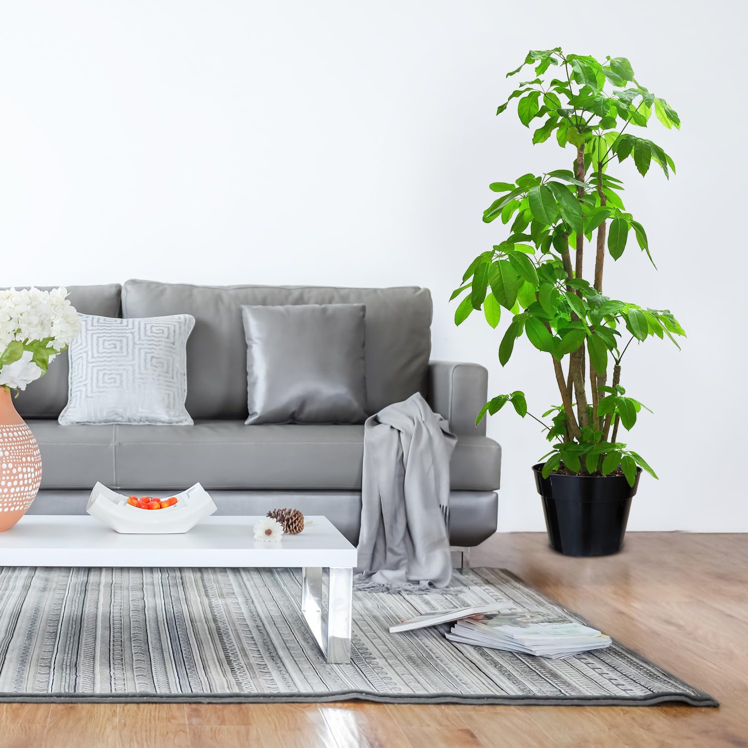 RooTrimmer easy-to-move plant pot suitable for rearranging home gardens.