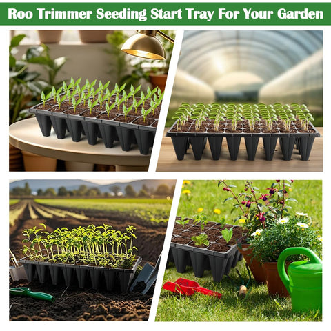 RooTrimmer seedlings are easy to remove for transplant into pots or garden.