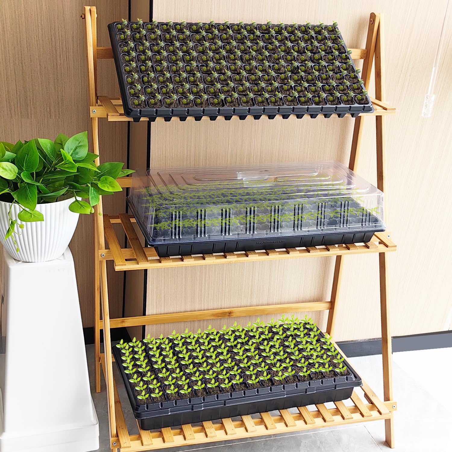 RooTrimmer easy watering and transplanting to streamline plant care.