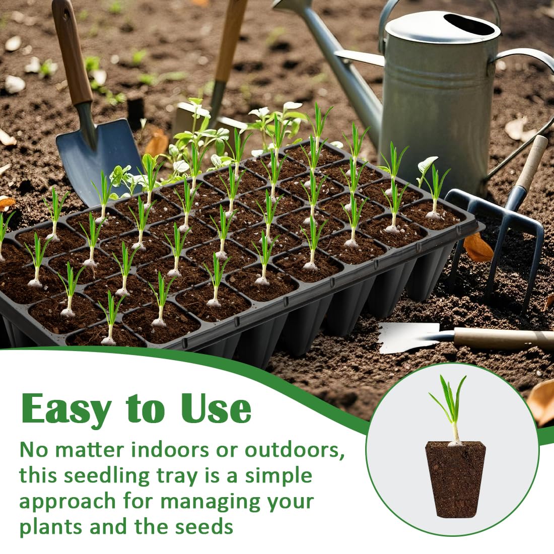 RooTrimmer extra-deep cells support longer rhizomes and stronger early growth.