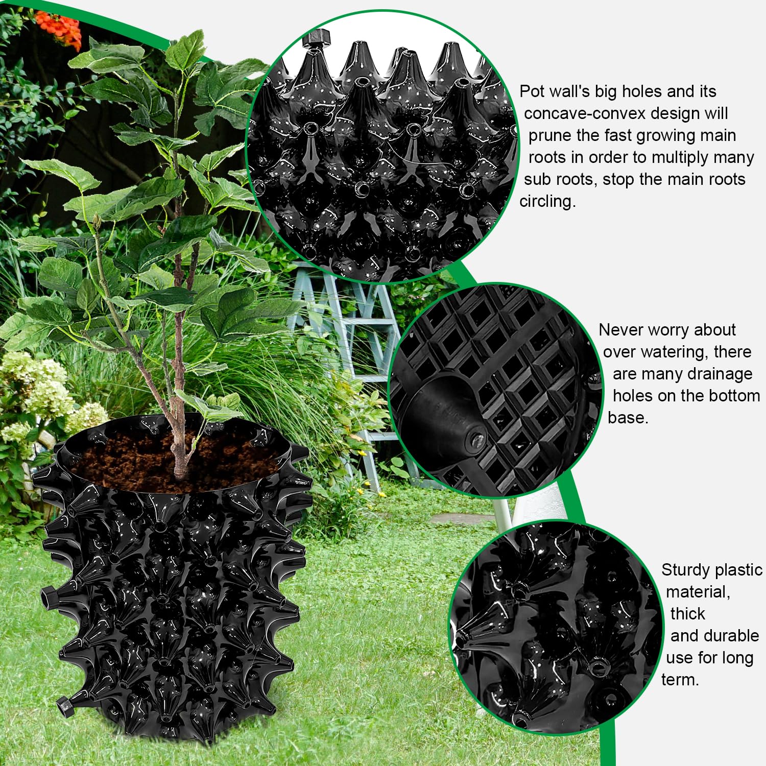 RooTrimmer fast root growth concept with healthy seedlings in 1G pots.