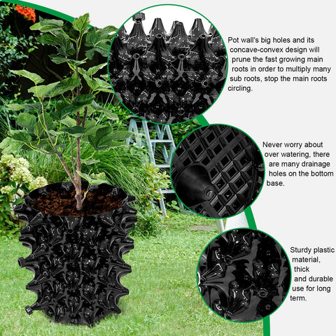 RooTrimmer fast root growth concept with healthy seedlings in 1G pots.